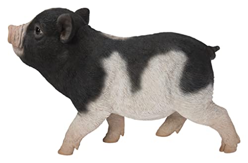 Hi-Line Gift Baby Pig Standing - Black and White