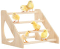 PETSFIT Baby Chick Roosting Bar, Anti-Rotation, Solid Wood, for Brooder | Fits Chicks and Small Birds, Thickened Wooden Perch, Safe for Brooder and Coop, Easy to Assemble and Clean, Non-Toxic Wood