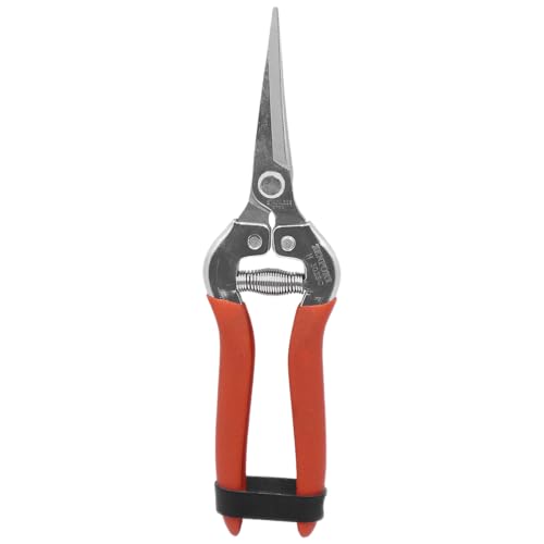 Zenport H302SC Harvest/Bunch Cutter, Curved Stainless Steel Serrated Blade , Orange