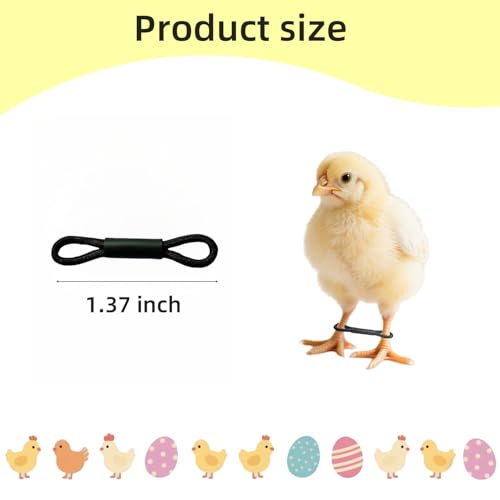 DoubleWood Chick Splay Leg Brace, 100 Pack Adjustable Poultry Hobble Bands for Newborn Poultry, 1-3 Days, Baby Chicks Splayed Leg Bands, Poultry Splay Hobble Brace