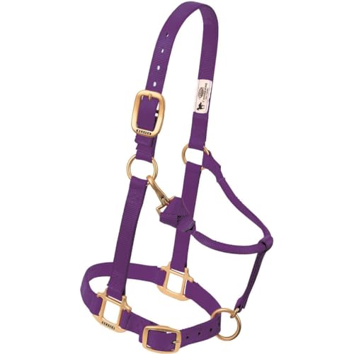 Weaver Leather Original Adjustable Nylon Horse Halter, Weanling/Pony, Purple