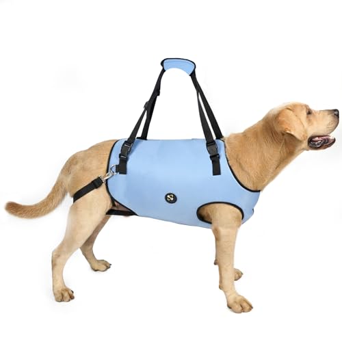 Coodeo Dog Lift Harness, Pet Support & Rehabilitation Sling Lift Adjustable Padded Breathable Straps for Old, Disabled, Joint Injuries, Arthritis, Loss of Stability Dogs Walk (Blue, XL) - color: Blue, size: Extra Large
