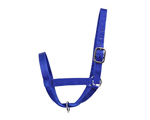 Derby Originals Adjustable Nylon Livestock Cattle Halters - color: Royal Blue, size: Small (250-500lbs)