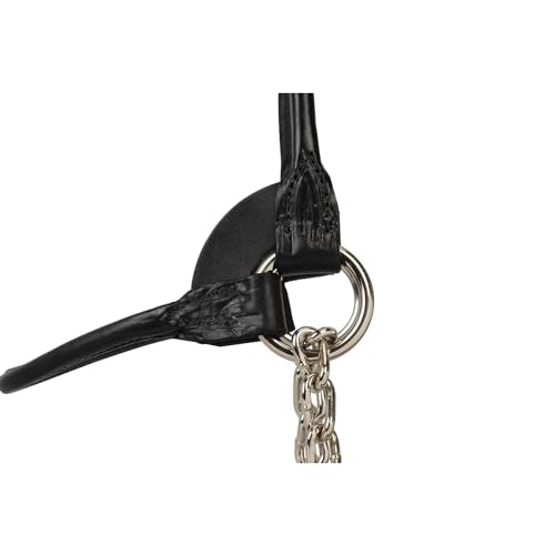 Weaver Leather Dairy/Beef Rounded Show Halter, Black, Medium - color: Black, size: Medium