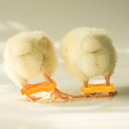 Chick Leg Bands, Splay Leg Brace Multi Size Poultry Splint | 4mm 5mm 6mm PVC supports, adjustable bird foot brace set for baby chicks, ducks, quails and pigeons