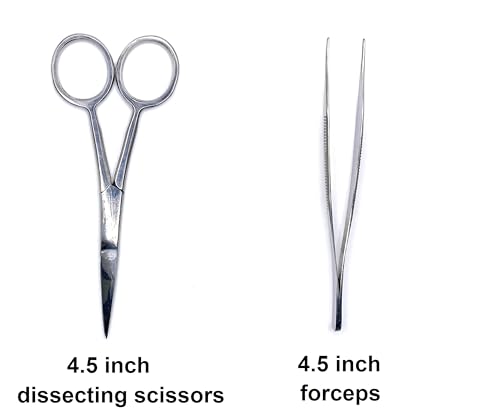 19 Piece Dissecting Kit Including Scissors, Forceps, Scalpel, and Probe in Leatherette Case for Anatomy Lab, Biology, Medical Students, and General Dissection