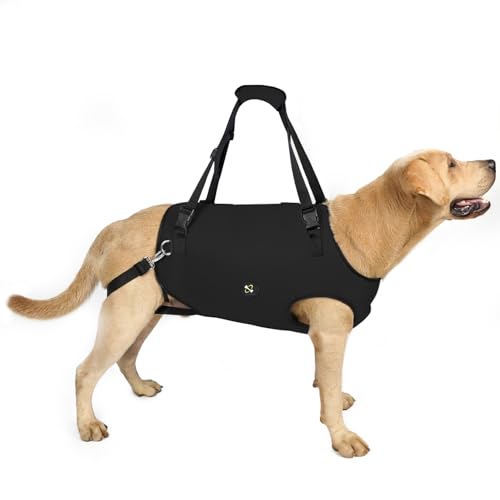 Coodeo Dog Lift Harness, Pet Support & Rehabilitation Sling Lift Adjustable Padded Breathable Straps for Old, Disabled, Joint Injuries, Arthritis, Loss of Stability Dogs Walk (Black, XS) - color: Black, size: Extra Small