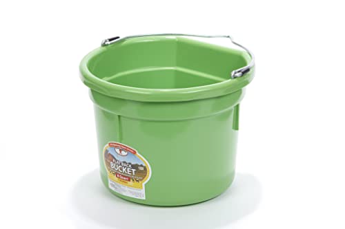 Little Giant® Flat Back Plastic Animal Feed Bucket | Animal Feed Bucket with Metal Handle | Horse Stall Feeding and Watering Supplies (Lime Green, 8 Quart) - color: Lime Green, size: 8 Quart