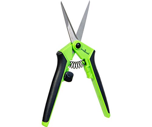 Hydrofarm HGPL400 Precision Anti Fatigue Pruner, - color: Green, style: Straight Stainless Steel