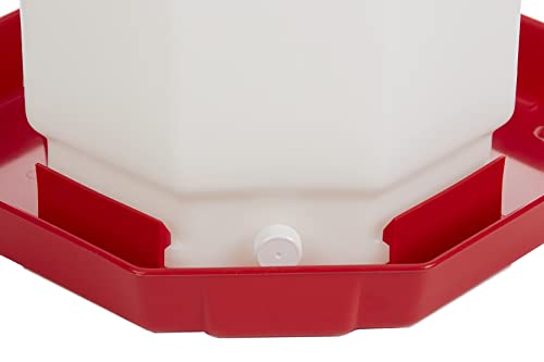 Little Giant® Plastic Poultry Waterer | Heavy Duty Plastic Gravity Fed Water Container | Easy to Fill | Snap on Jar | 7 Gallons