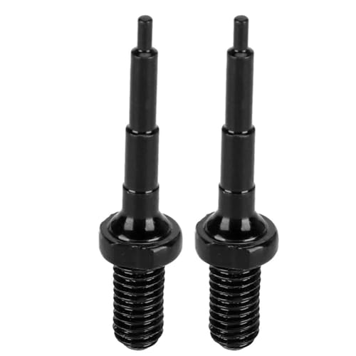 Ear Tag Nail, 2Pcs Ear Tag Pin Universal Livestock Identification Tool Ear Tagger Needle Marking Tools for Pig Cattle Sheep(Chiodo per marchio auricolare elettroforetico)