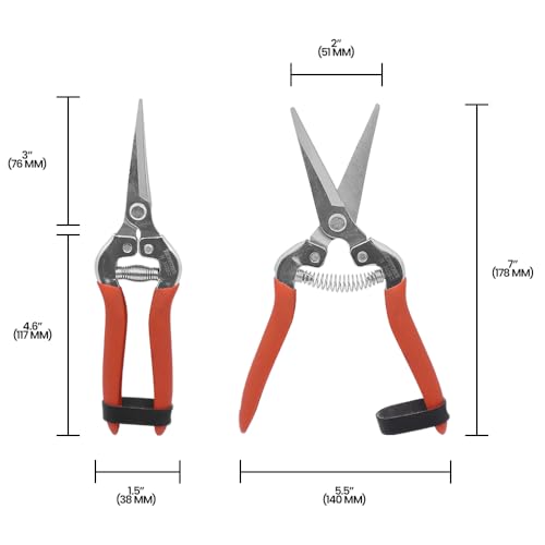 Zenport H302SC Harvest/Bunch Cutter, Curved Stainless Steel Serrated Blade , Orange