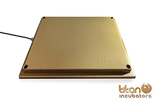Titan Chick Heating Plate/Brooder Hen Heat Lamp Replacement - Up to 25 Chicks 12" x 12" - 20W