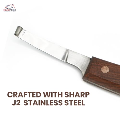 Equine Care Right-Handed Short Blade Hoof Knife for Horse Hoof Trimming | Short Farrier Hoof Knife: J2 stainless steel, compact curled tip and dual-riveted wood handle; right- or left-handed - style: Right Handed