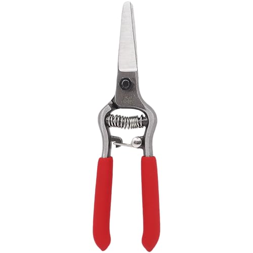 Zenport Z270 6” Forged Straight Blade Needle Nose Shear, 1.5 Inch Blades, Red - 10 Pack - style: 10
