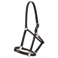 Dura-Tech Premier Lancaster Leather Halter for Horses | Simple Economy Leather Halter with Adjustable Fit & Solid Brass Hardware - size: Full Size