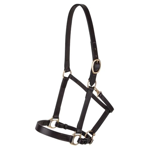 Dura-Tech Premier Lancaster Leather Halter for Horses | Simple Economy Leather Halter with Adjustable Fit & Solid Brass Hardware - size: Full Size