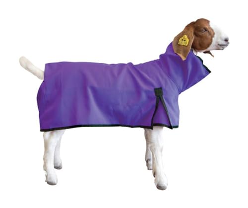Weaver Livestock Goat Blanket, Large, Purple