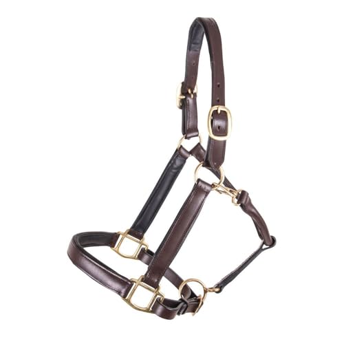 Dura-Tech Premier Saratoga Padded Leather Halter for Horses | Soft Buffalo Leather with Adjustable Fit & Padded Comfort - size: Cob