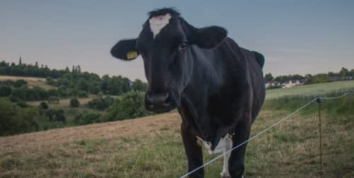 Electric Fence Energizer 40 Acre 10 Miles 2 in 1 Powered by Battery or AC Outlet 12000V 2J Pulse Electric