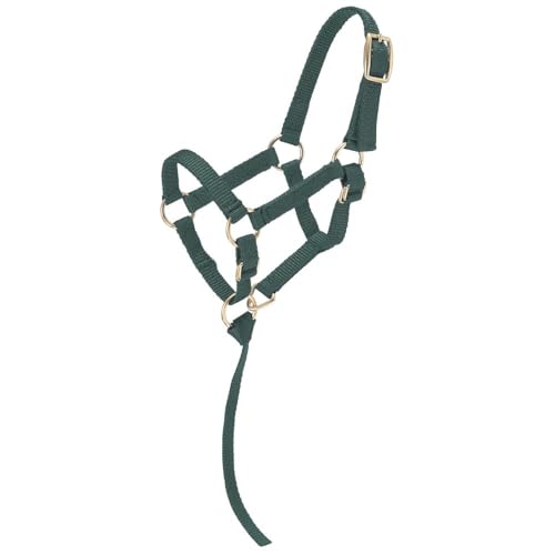 Tough1 Miniature Nylon Halter - color: Hunter Green, size: Small