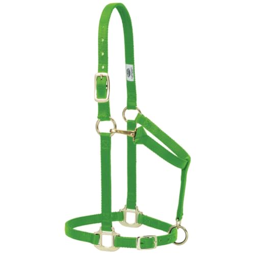 Weaver Leather Original Adjustable Nylon Horse Halter, Purple, Arabian/Cob