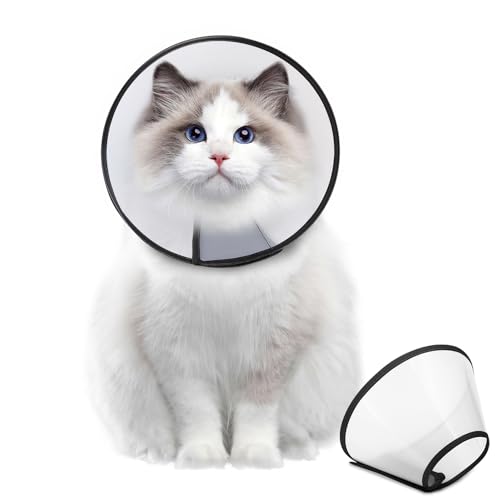 Supet Dog Cone Collar Adjustable After Surgery, Comfortable Pet Recovery Collar & Cone for Large Medium Small Dogs, Elizabethan Dog Neck Collar Plastic Practical - color: White, size: XS(Neck: 9.5~11.5")