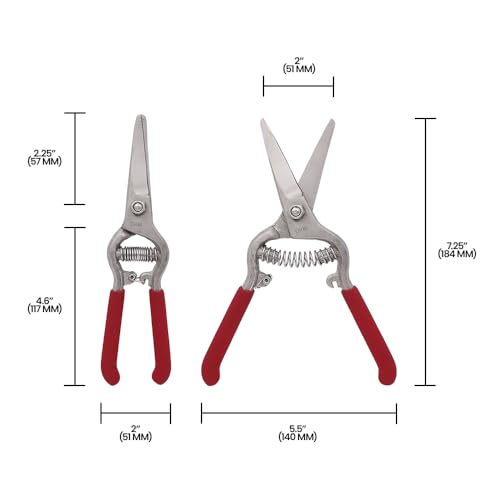 Zenport Z280 Needlenose Shear, Grape, 8-Inch Heavy Duty Forged Steel Curved Blade