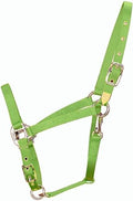 Hamilton Deluxe Adjustable Horse Halter, 800-1100 lbs, Lime Green | Premium Quality 1" Triple Ply Nylon, Average/Arabian/Yearling Draft, Adjustable Chin Strap, Throat Snap, Solid Brass Hardware - color: Lime, size: Average, 800-1100lbs