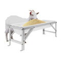 Livestock Feed Trough with Metal Stand 39" Long Large Capacity Livestock Feeder for Lambs Foals Calves Sheep Horses Alpacas and Goats in Farm (Silver+White) - color: Silver+White