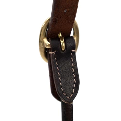Jeffers Soft Pre-Oiled Harness Leather Show Halter for Cattle – Durable Rolled Cheeks, Noseband, 6’ Lead Rope with 24" Brass Chain & Bolt Snap, Safe Handling, Top Accessory - size: Large