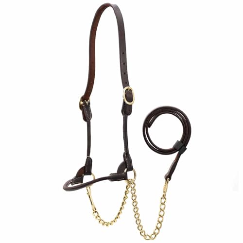 Jeffers Soft Pre-Oiled Harness Leather Show Halter for Cattle – Durable Rolled Cheeks, Noseband, 6’ Lead Rope with 24" Brass Chain & Bolt Snap, Safe Handling, Top Accessory - size: Medium