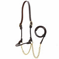 Jeffers Soft Pre-Oiled Harness Leather Show Halter for Cattle – Durable Rolled Cheeks, Noseband, 6’ Lead Rope with 24" Brass Chain & Bolt Snap, Safe Handling, Top Accessory - size: Medium