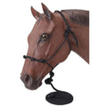 Tough1 Knotted Rope Halter with Lead - color: Black