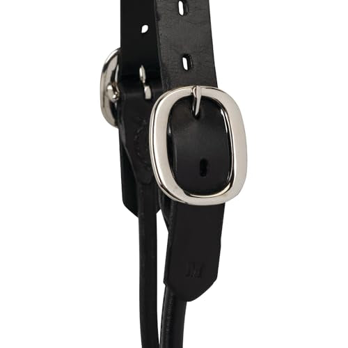 Weaver Leather Dairy/Beef Rounded Show Halter, Black, Medium - color: Black, size: Medium