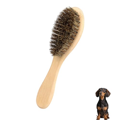 Soft Boar Bristle Dog Brush for Short Haired, Ideal Pet Hair Brush | Gentle Deshedding & Grooming Tool, Puppy Essentials for Grooming and Shedding