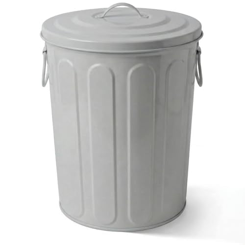 Plexon 5 Gallon Small Metal Trash Can with Lid Outdoor Galvanized Steel Bucket with Lid 5 Gal Storage Can for Dog Food Bird Seed Storage Container, Gray - color: Gray
