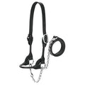 Weaver Leather Dairy/Beef Rounded Show Halter, Black, Small - color: Black, size: Small