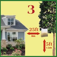 Classic Flies Be Gone Fly Trap – Disposable Outdoor Fly Trap, Protein-Powered Attractant for Farms, Ranches & Patios Hanging Fly Catcher, Fast Fly Infestation Control for Livestock & Backyards 5-Pack