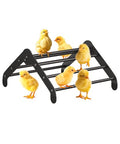Koutemie Adjustable Chicken Perch for Coop, Small | Chick Roosting Bars for Chickens in Coop and Brooder, Baby Chicks Toys Training Supplies for Bird Parrot Hens Macaw