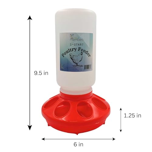 Chick Feeder 1-Quart Capacity for All Small Poultry | Durable Feeding Container for Baby Chicks, Chickens, Ducklings, Baby Turkeys, Quail and More