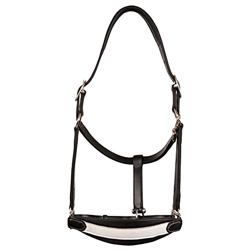 Exion Leather Soft Padded White Halter and Leather Lead with Chain Combo | Adjustable Padded Leather Halter with Snap | Padded Crownpiece | Black/Havana Brown Leather | Horse/Cob/Warmblood/Pony - color: Black, size: Cob (Medium Size)-Vegetable Tanned Leat