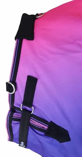 Challenger 1200D Turnout Waterproof Rain Horse Sheet Light Winter Blanket 393B - color: Berry Ombre, size: 64 inches