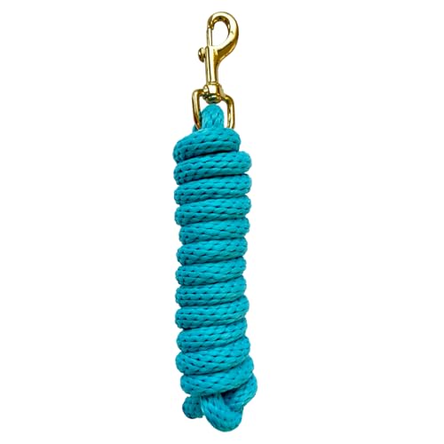 5/8" x 8' Nylon Horse Lead Rope with Cast Iron Hardware(Lake Blue) | Durable nylon material, cast iron hardware, ideal for daily use, training and showing. - color: Lake Blue