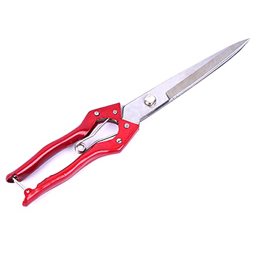 Grass Sheep Shear - Coated Wear-Resistant Handle, Manganese Steel Double-Edged, Strong Spring Suitable For Manual Shearing of Cow, Sheep, and Horse Hair (Red 12.6 inches) - color: Red 12.6 Inches