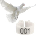 100PCS Numbered Leg Bands, 8mm Inner Diameter | Color-Coded Identification for Hatches, Durable Plastic Resists Cracking, Clip-On Design No Extra Tools, Organize Breeding Re