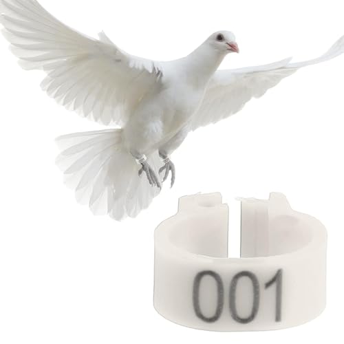 100PCS Numbered Leg Bands, 8mm Inner Diameter | Color-Coded Identification for Hatches, Durable Plastic Resists Cracking, Clip-On Design No Extra Tools, Organize Breeding Re