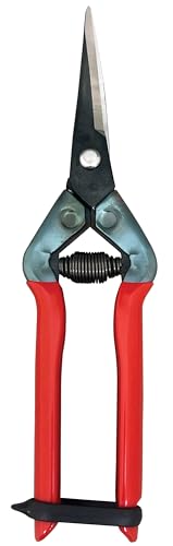 CHIKAMASA T-55CR, Professional Trimming Precise Curved Blade Scissors, Carbon Steel with razor-sharp edges, Curved Blade for precise trimming, harvesting vegetables and fruit, Black/Red