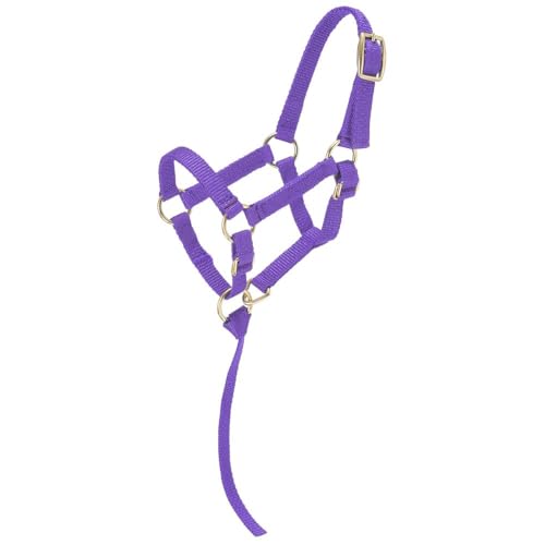 Tough1 Miniature Nylon Halter - color: Purple, size: Small