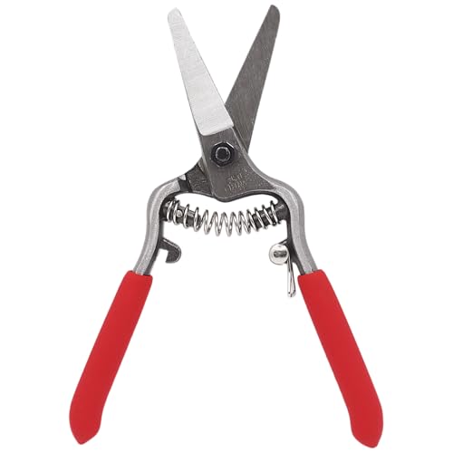 Zenport Z270 Needlenose Shear, Bonsai and Orchids, Mini 6-Inch Forged Straight Blade - style: 1